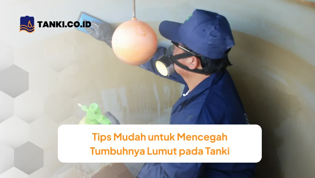 Tips Mudah untuk Mencegah Tumbuhnya Lumut pada Tanki