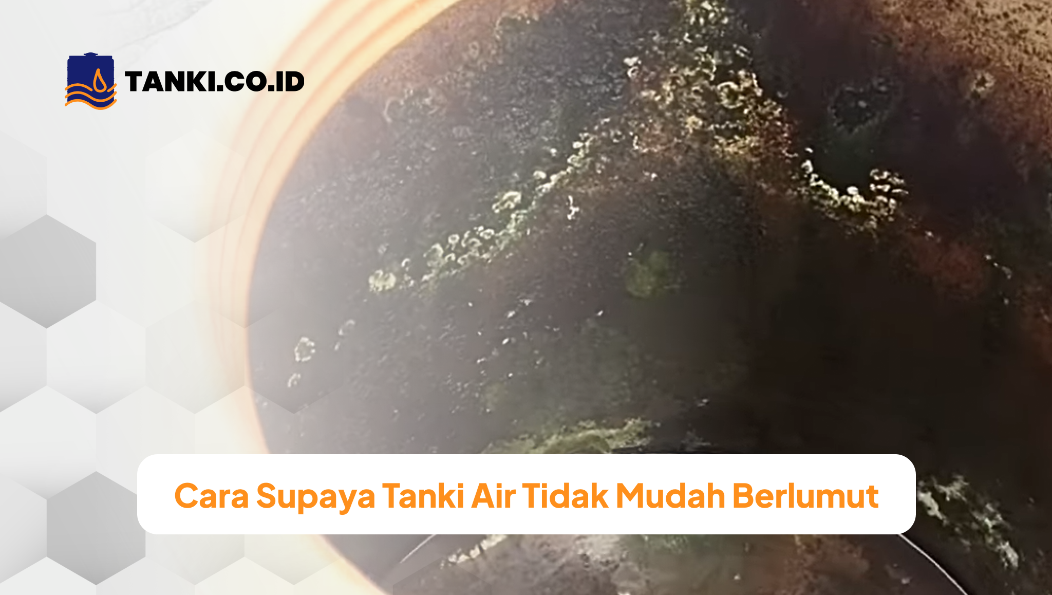 Cara Supaya Tanki Air Tidak Mudah Berlumut