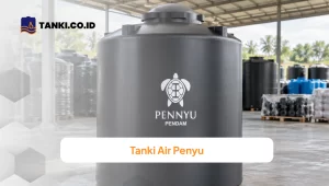 Pennyu